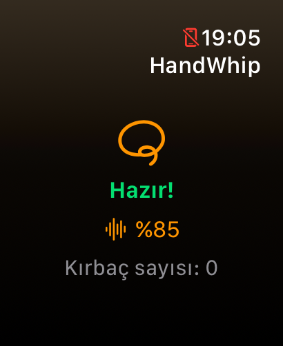 HandWhip After Whip